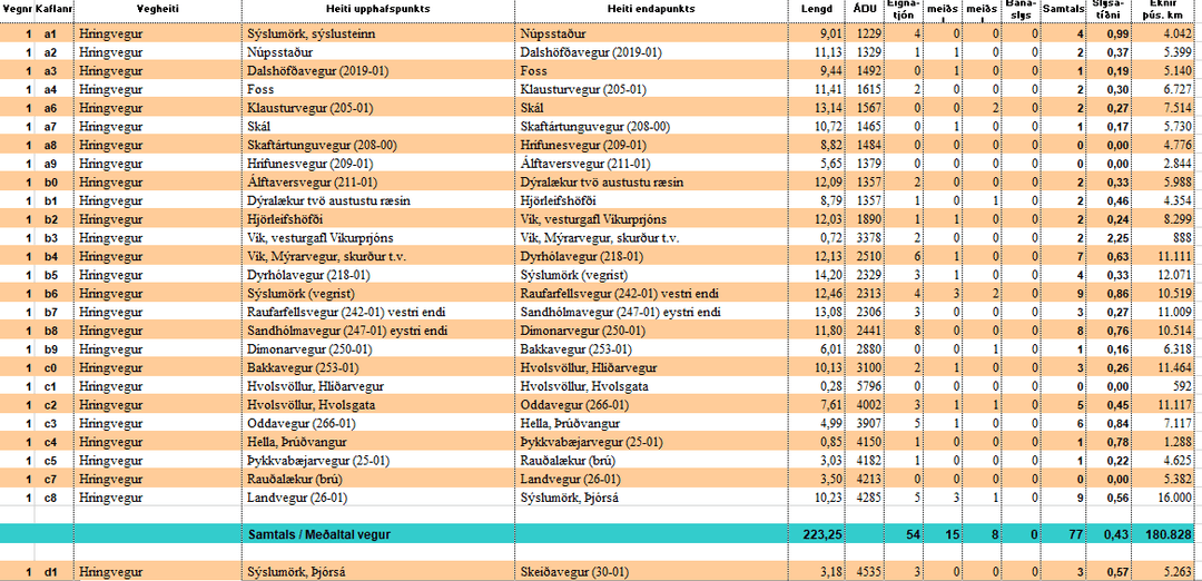 Mynd af excel skjalinu - slysatíðni 2019