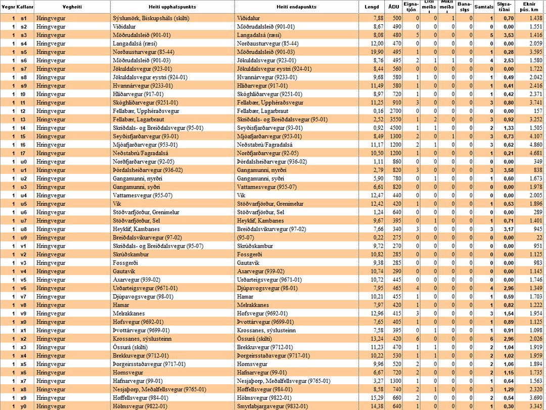 Mynd af excel skjalinu slysatíðni á Austursvæði 2021