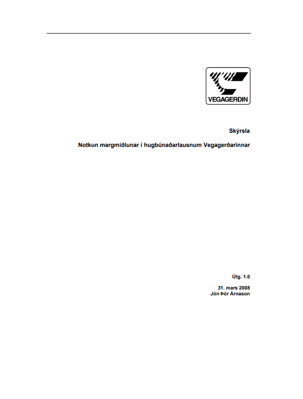 Notkun margmiðlunar í hugbúnaðarlausnum Vegagerðarinnar