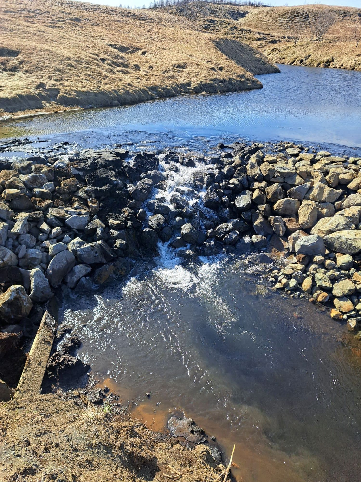 fert-verdur-uppistodulon-i-heidarlaek-ad-osk-landeiganda