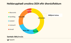 Heildarupphæð umsókna 2024 eftir áhersluflokkum.