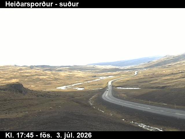 Heiðarsporður